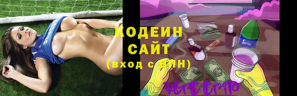 крисы Абаза