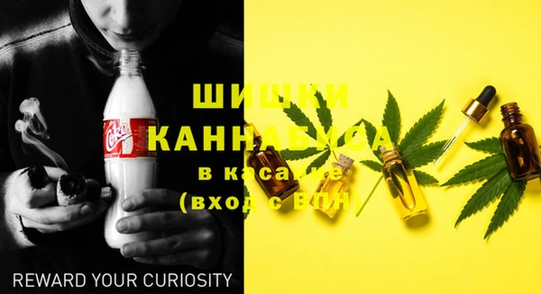 крисы Абаза