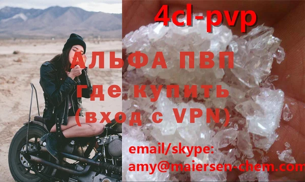 крисы Абаза