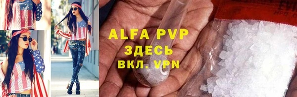 крисы Абаза