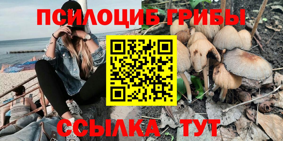 Галлюциногенные грибы мухоморы  Вход с VPN  Сызрань 